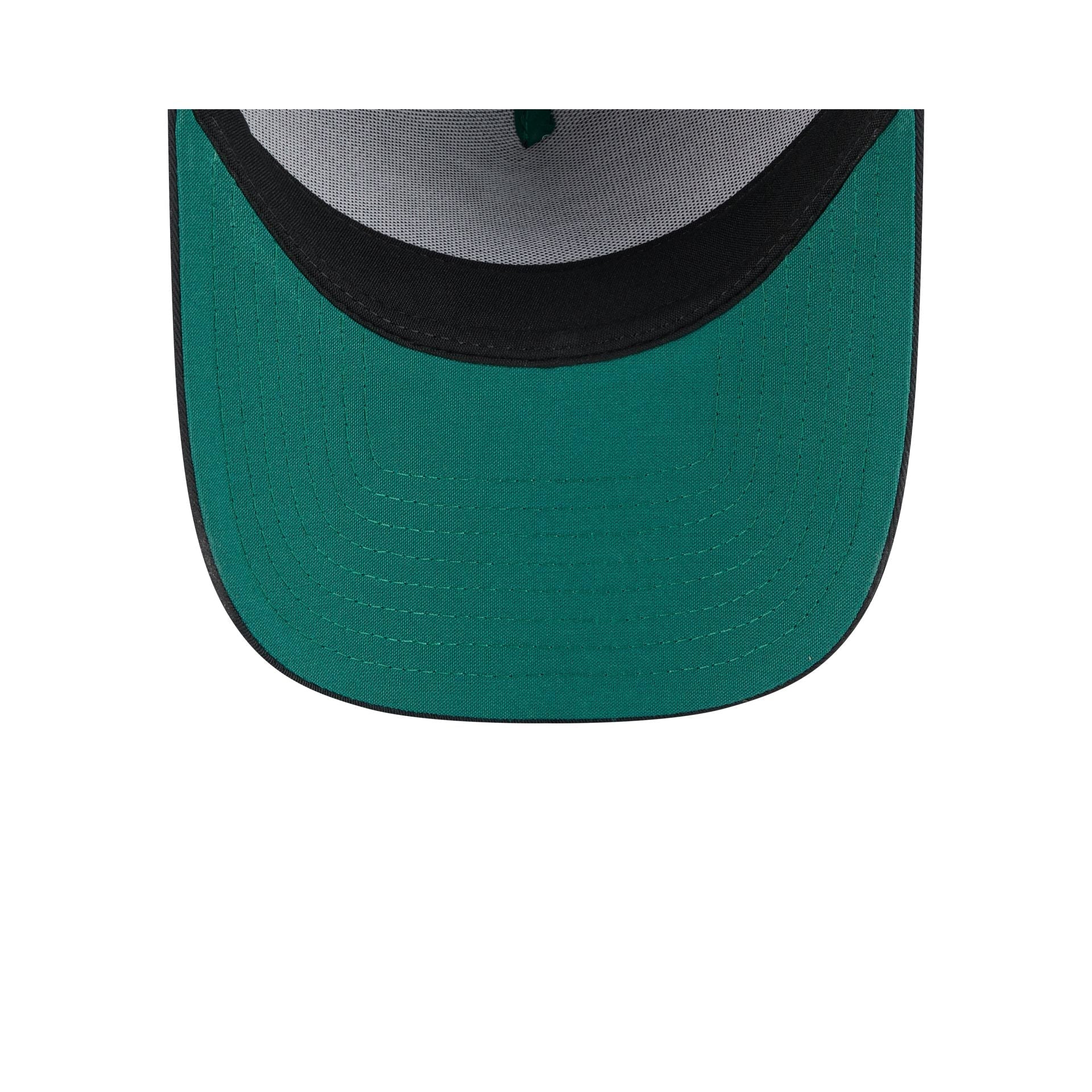 New Era Cap Earth Day Black 9FORTY A-Frame Snapback Hat