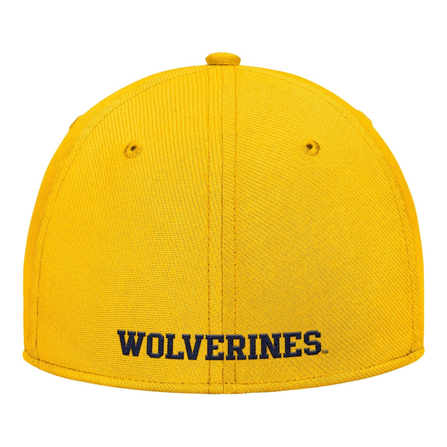 Michigan Wolverines Nike Jordan Yellow FlexFit Rise Adjustable Gameday Hat
